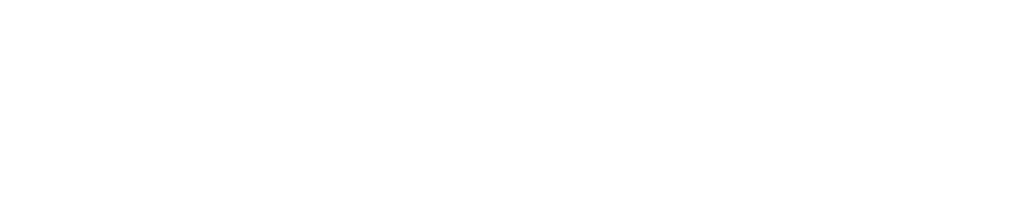 Damage Inc. Logo
